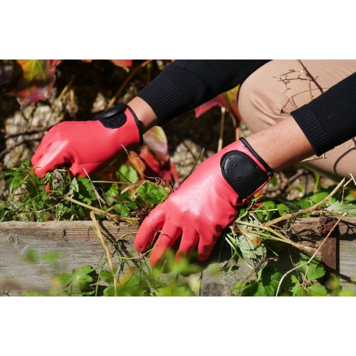 Handschoenen Rostaing Maxima